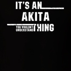 Akita Thing You Wouldn't Understand Animal Lover Worn Look T Shirt 21017797