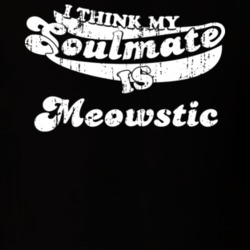 I Think My Soulmate Is Meowstic Best Pokemon Worn Look T Shirt 24334079
