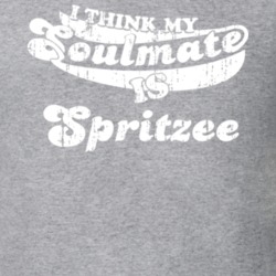 I Think My Soulmate Is Spritzee Best Pokemon Worn Look T Shirt 24334133