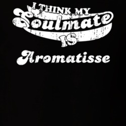 I Think My Soulmate Is Aromatisse Best Pokemon Worn Look T Shirt 24334145
