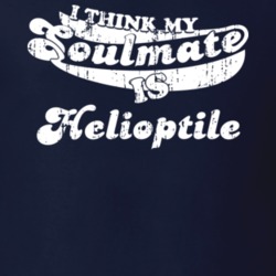 I Think My Soulmate Is Helioptile Best Pokemon Worn Look T Shirt 24334252