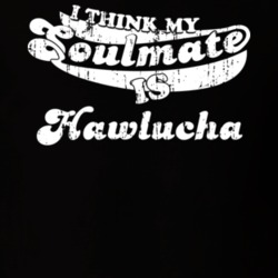 I Think My Soulmate Is Hawlucha Best Pokemon Worn Look T Shirt 24334313