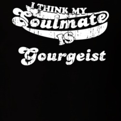 I Think My Soulmate Is Gourgeist Best Pokemon Worn Look T Shirt 24334412
