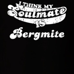 I Think My Soulmate Is Bergmite Best Pokemon Worn Look T Shirt 24334422