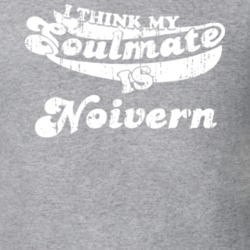 I Think My Soulmate Is Noivern Best Pokemon Worn Look T Shirt 24334452