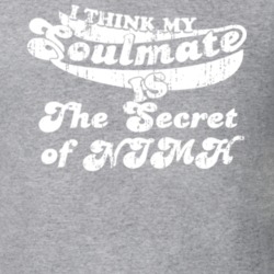 I Think My Soulmate Is The Secret of NIMH Best Movie Worn Look T Shirt 25171477