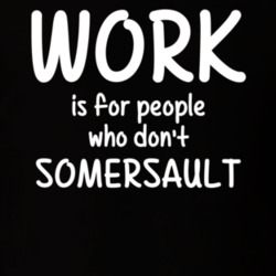 Work Is For People Who Don't Somersault Somersault Fan Hobby T Shirt 27637517