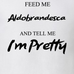 Feed Me Aldobrandesca Beer And Tell Me I'm Pretty Gift T Shirt 29752232