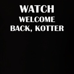 Watch Welcome Back, Kotter Funny TV Show Fan Gift T Shirt 30565118