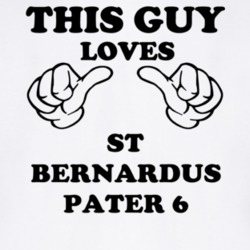 St Bernardus Pater 6 Beer Funny T Shirt 6189988