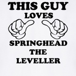 Springhead The Leveller Beer Funny T Shirt 6190554