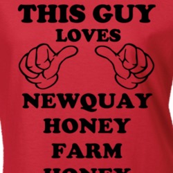 Newquay Honey Farm Honey Beer Beer Funny T Shirt 6192187