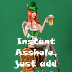 Grolsch Instant Asshole, Just Have Funny T Shirt 6296951