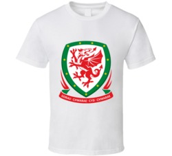 Wales Soccer Logo Euro World Cup Fan T Shirt 37302872