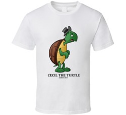 Cecil The Turtle Rabbit Run Rabbit And The Turtle Fan T Shirt 38307373