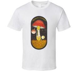 The Anatomy Of A Mushroom Funny Shrooms Drugs Psychedelic Fan T Shirt 38319565