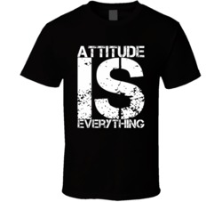 Attitude Is Everything Funny Adult Humor Fan T Shirt 38398298