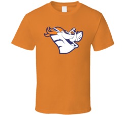 Denver Broncos Funny Parody Pumba Timon Lion King Parody Sports Fan T Shirt 38490567