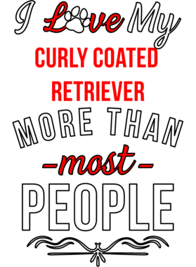 https://d1w8c6s6gmwlek.cloudfront.net/tailored-tees.com/overlays/361/163/36116363.png img
