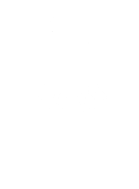https://d1w8c6s6gmwlek.cloudfront.net/techietshirts.com/overlays/376/338/37633817.png img