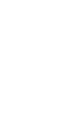 https://d1w8c6s6gmwlek.cloudfront.net/techietshirts.com/overlays/376/344/37634463.png img