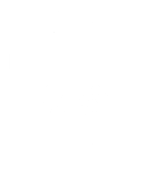 https://d1w8c6s6gmwlek.cloudfront.net/techietshirts.com/overlays/376/344/37634486.png img