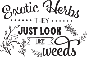 https://d1w8c6s6gmwlek.cloudfront.net/teesandtshirts.com/overlays/384/560/38456053.png img
