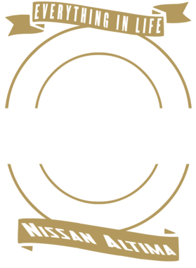 https://d1w8c6s6gmwlek.cloudfront.net/territees.com/overlays/358/518/35851895.png img