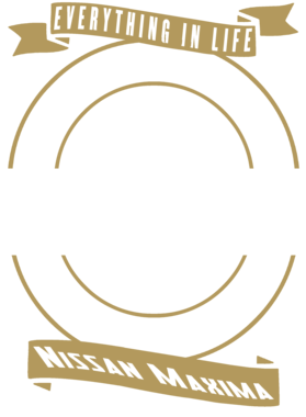https://d1w8c6s6gmwlek.cloudfront.net/territees.com/overlays/358/537/35853721.png img