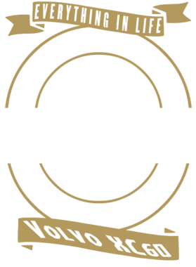 https://d1w8c6s6gmwlek.cloudfront.net/territees.com/overlays/358/614/35861409.png img