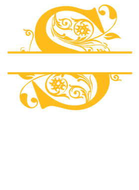 image overlay