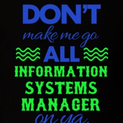 Dont Make Me Go All Information Systems Manager On Ya Funny T Shirt 19595061
