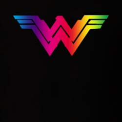 Wonderwoman is Queer Fan T shirt 25002459
