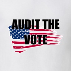 Audit The Vote T shirt 25719926