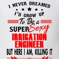 Irrigation Engineer Super Sexy Killing It Occupation T Shirt 29099640