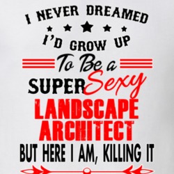 Landscape Architect Super Sexy Killing It Occupation T Shirt 29099641