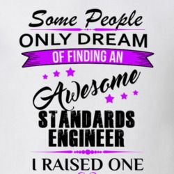 I Raised An Awesome Standards Engineer T shirt 29940014