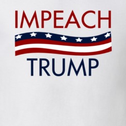 Impeach Trump Political Statement T shirt 30810271