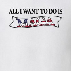 All I Want To Do Is MAGA T shirt 31423666
