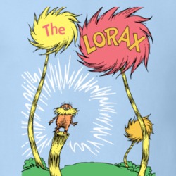 The Lorax Dr Seuss Childrens Book T Shirt 35451503