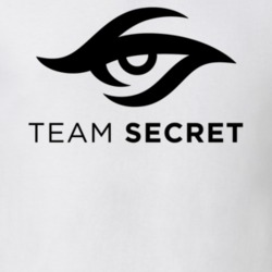 Team Secret Esports Team Popular Video Gamers Fan T Shirt 37172826
