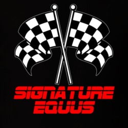 Signature Equus Racing Flags Car Lovers T Shirt 38516105