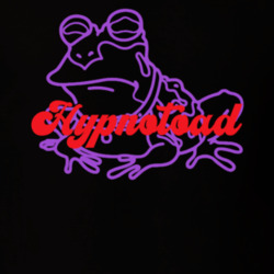 Hypnotoad Tcu Football Fan T Shirt 39479420