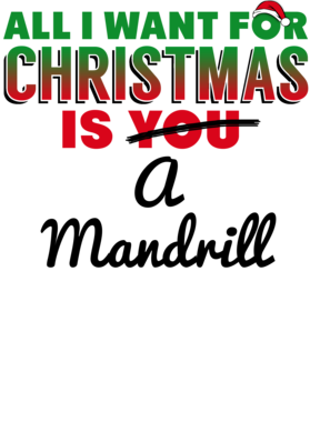 https://d1w8c6s6gmwlek.cloudfront.net/thebestofchristmas.com/overlays/174/553/17455329.png img