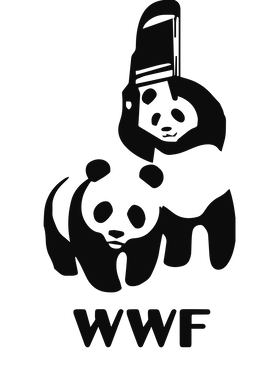 image overlay