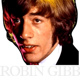image overlay