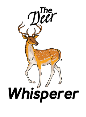 image overlay