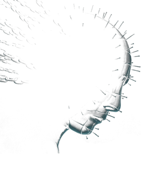 https://d1w8c6s6gmwlek.cloudfront.net/thelegendoftshirts.com/overlays/363/147/36314785.png img