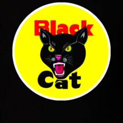 Black Cat Fire Crackers Logo Cool T Shirt 12979