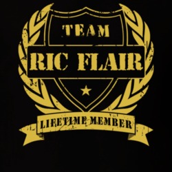 Ric Flair Team Lifetime Member Wrestling T Shirt 33486290
